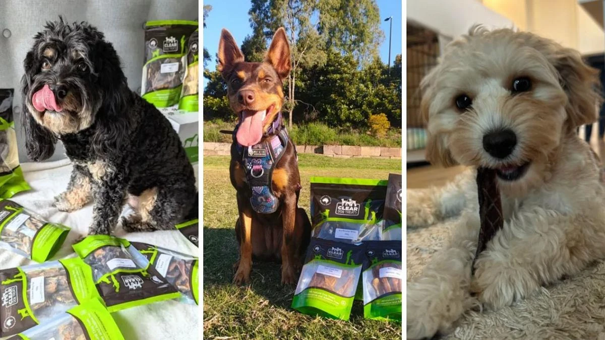 These healthy and ‘addictive’ dog treats are taking Aussie homes by storm