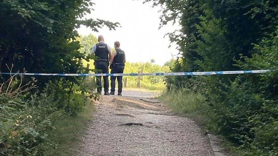 Teddy bear hunt horror as human remains found in suitcase