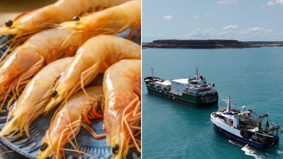 Australian seafood giant to close after more than 60 years
