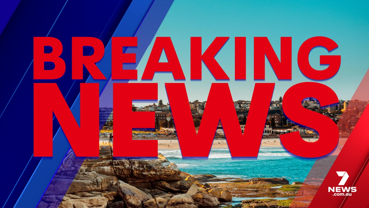 Sydney primary school students test positive for COVID-19