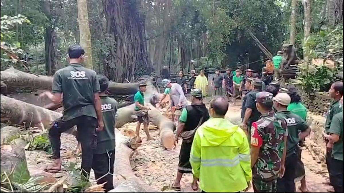 Tourists killed in freak accident at popular Bali park