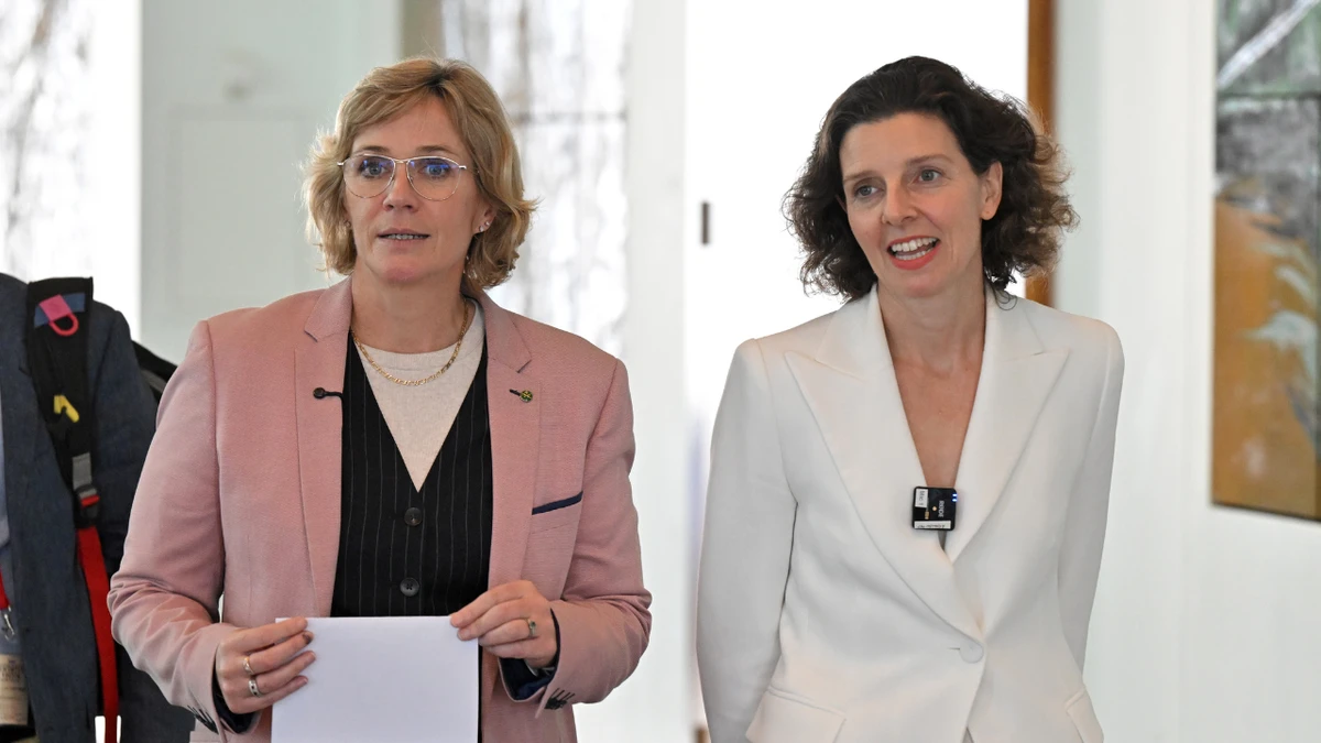 Teal independents mull joining forces to form new political party