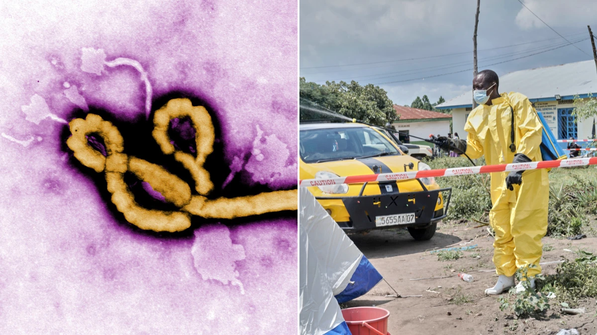 Alarm sounded as Ebola outbreak kills dozens more