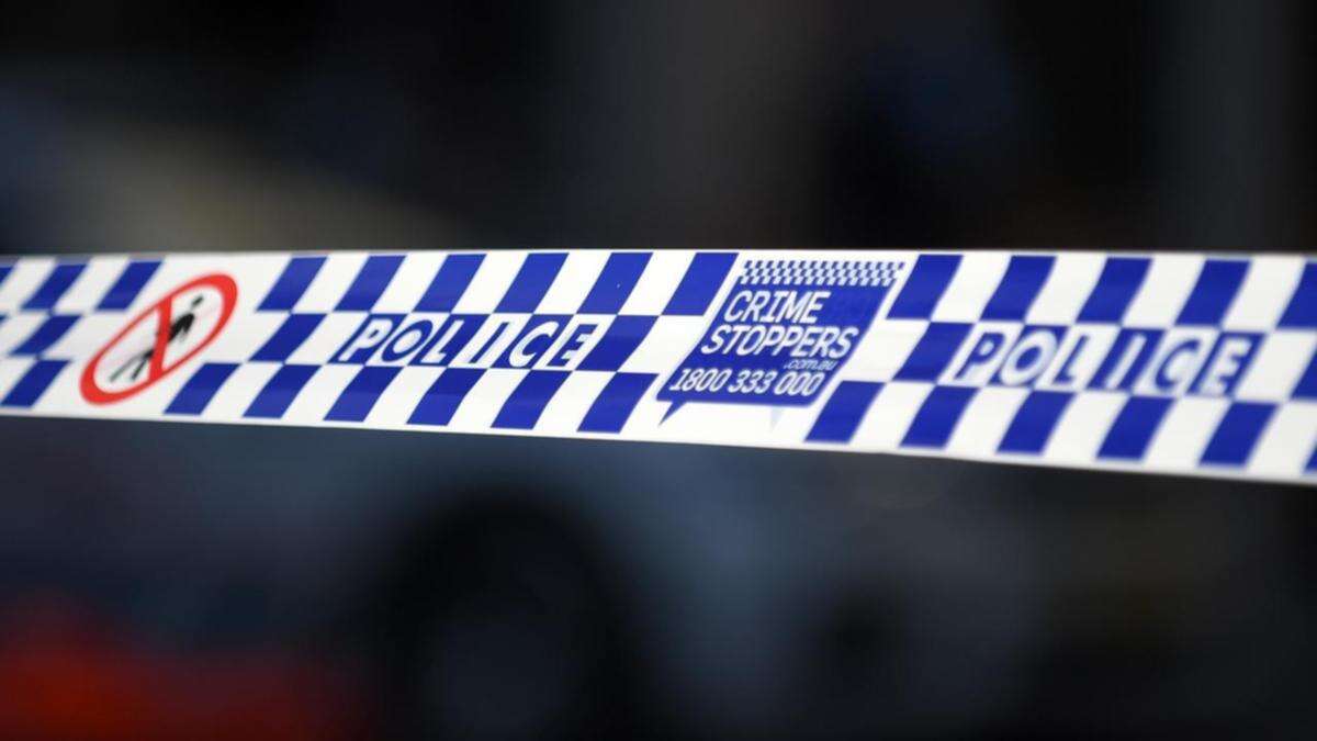 Woman fighting for life after Sydney hit-and-run