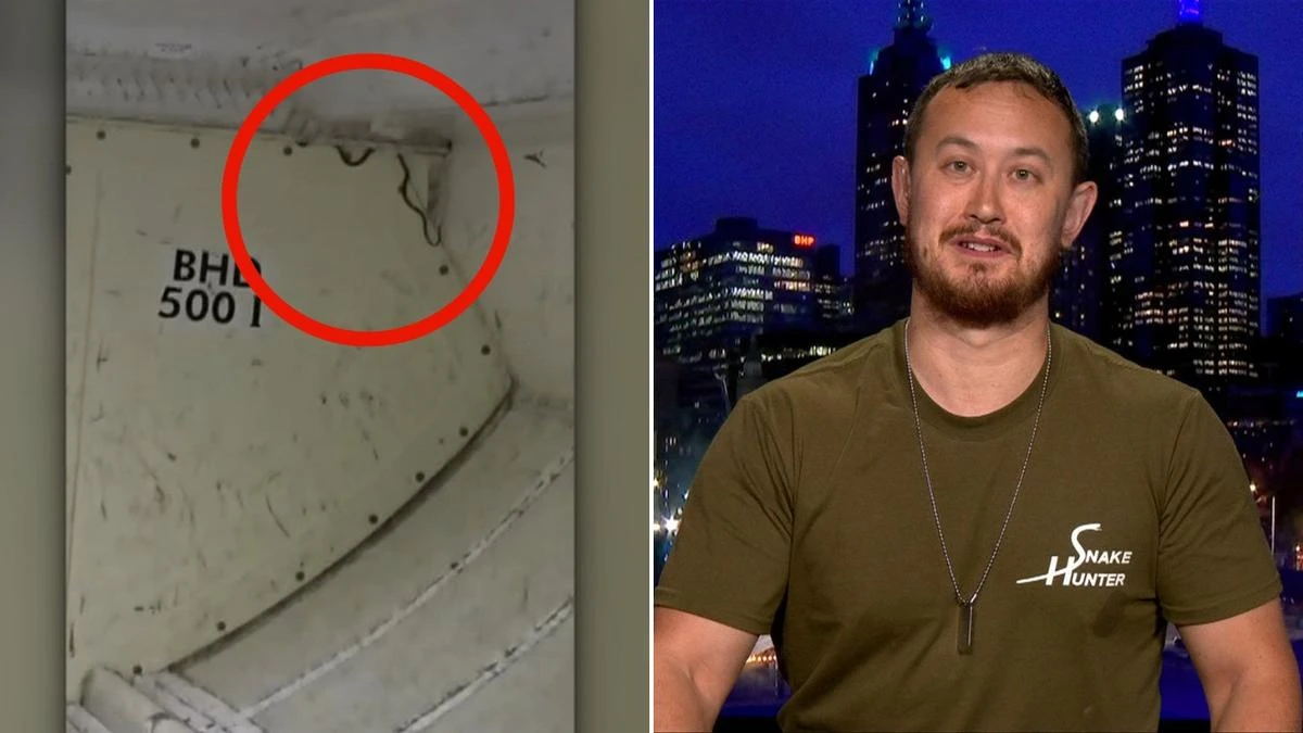 Chilling way snake likely made it onto a plane at Melbourne Airport