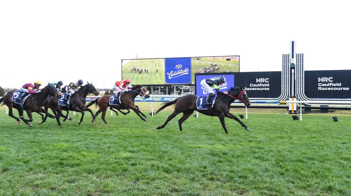 Private Eye shows his class with strong win in at Caulfield