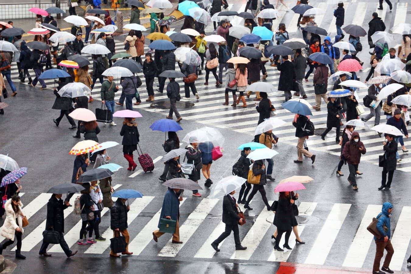 Most cities are rainier than their surroundings due to heat and smog