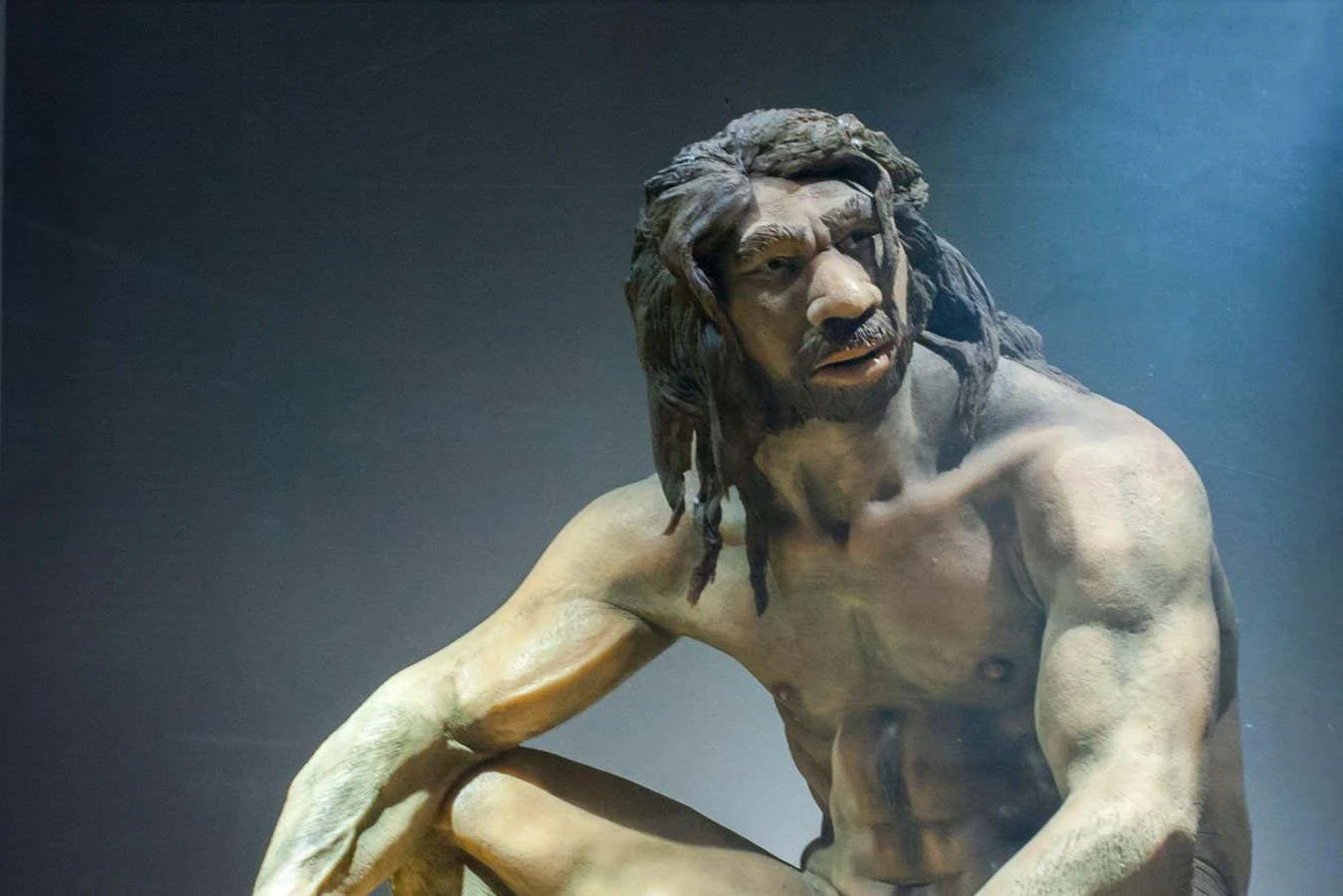 Evolution of intelligence in our ancestors may have come at a cost