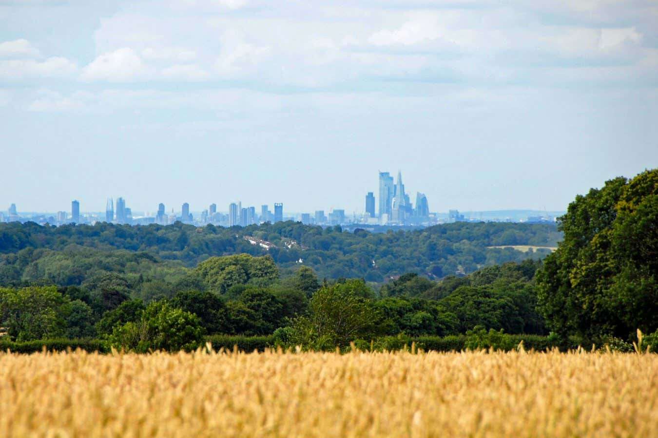 Green belts around cities help keep them cool