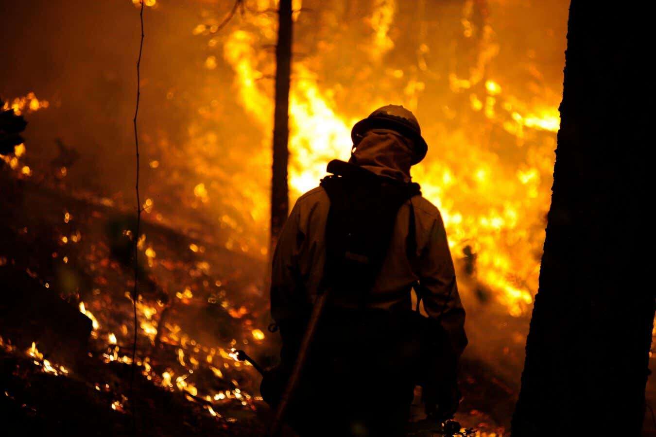 California isn't clearing forests fast enough to tame wildfires