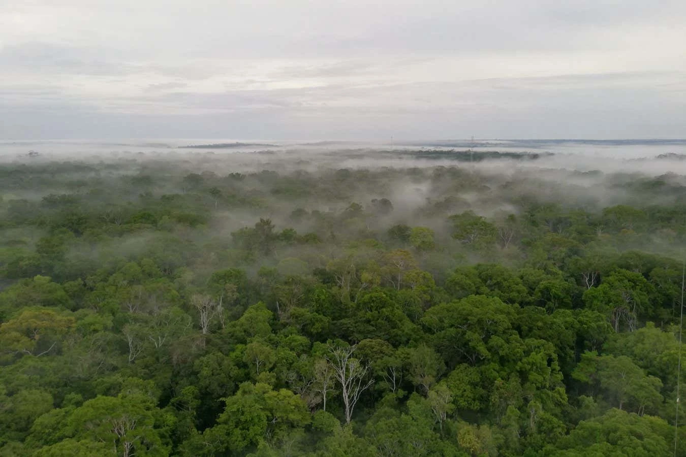 How 'forever chemicals' reached one of the world's most pristine areas