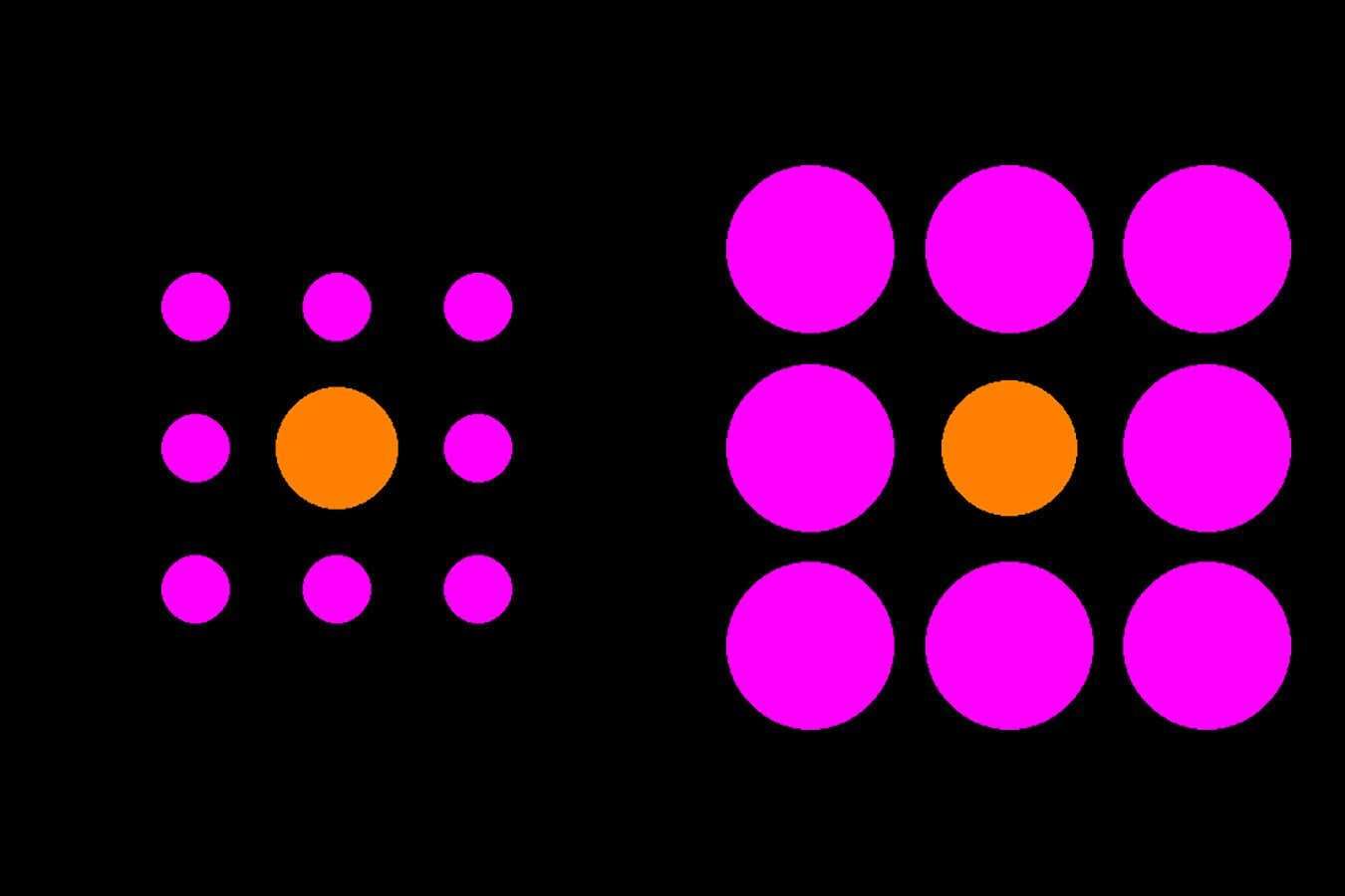 You could train your brain to be less fooled by optical illusions