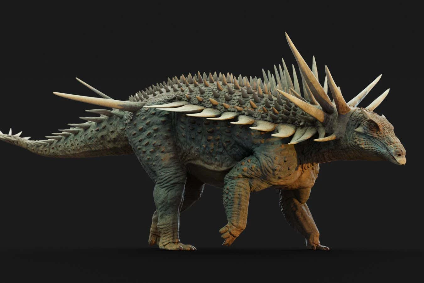 Armoured dinosaur's 'crazy' spikes weren't just for defence
