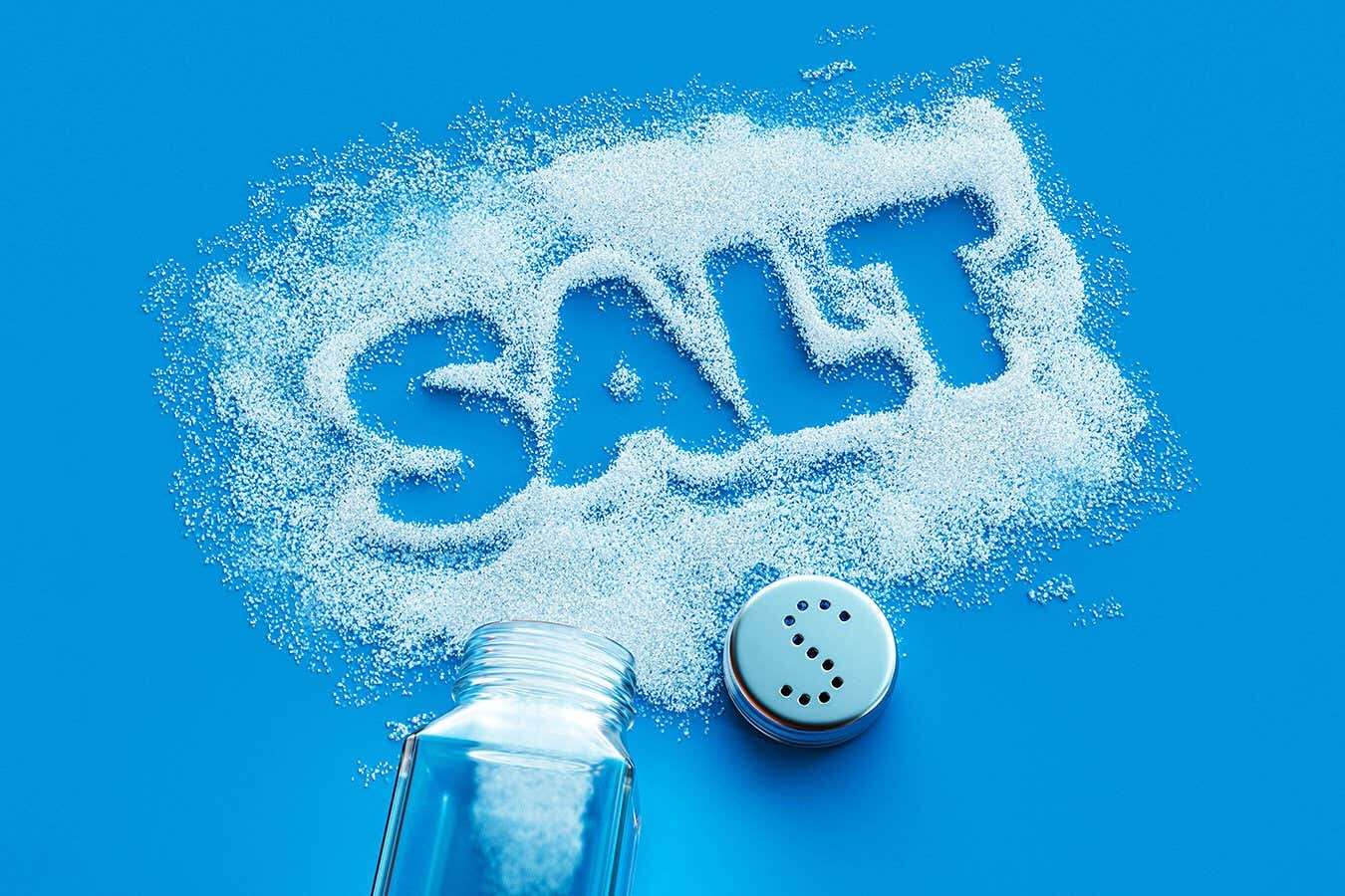 How to easily satisfy your salt cravings without damaging your health