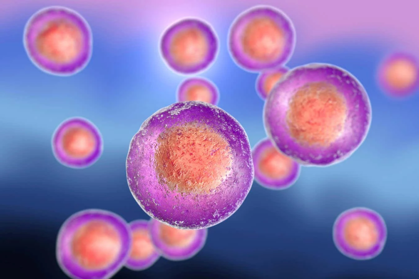 Is stem cell therapy about to transform medicine and reverse ageing?