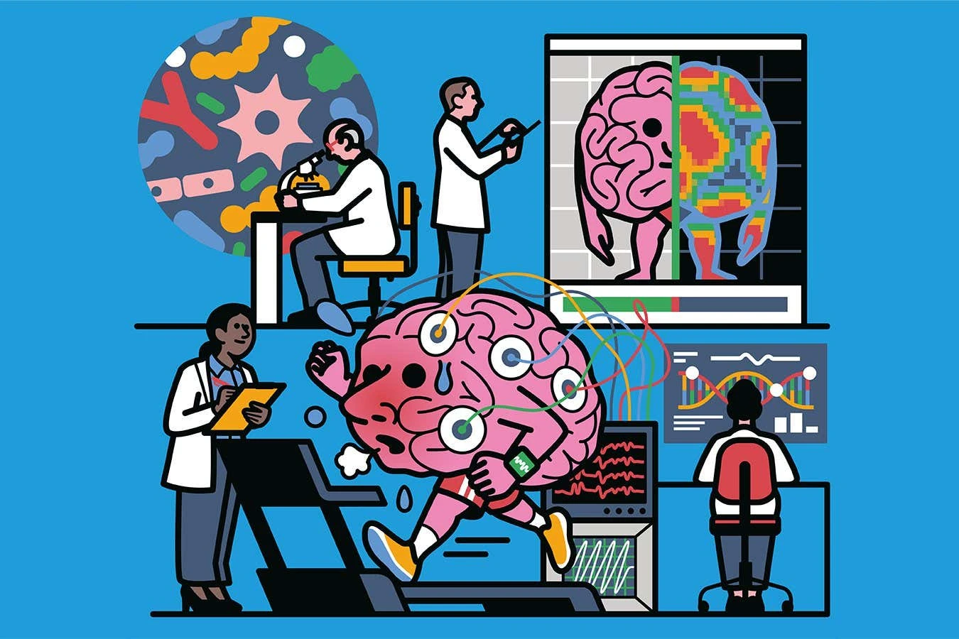 How healthy is your brain? We now know how to find out