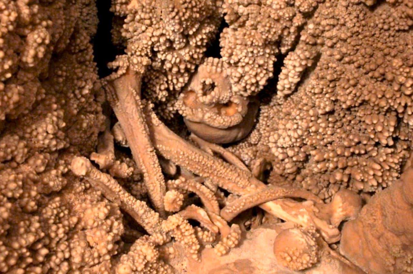 Why the amazing Altamura Man fossil remains a mystery