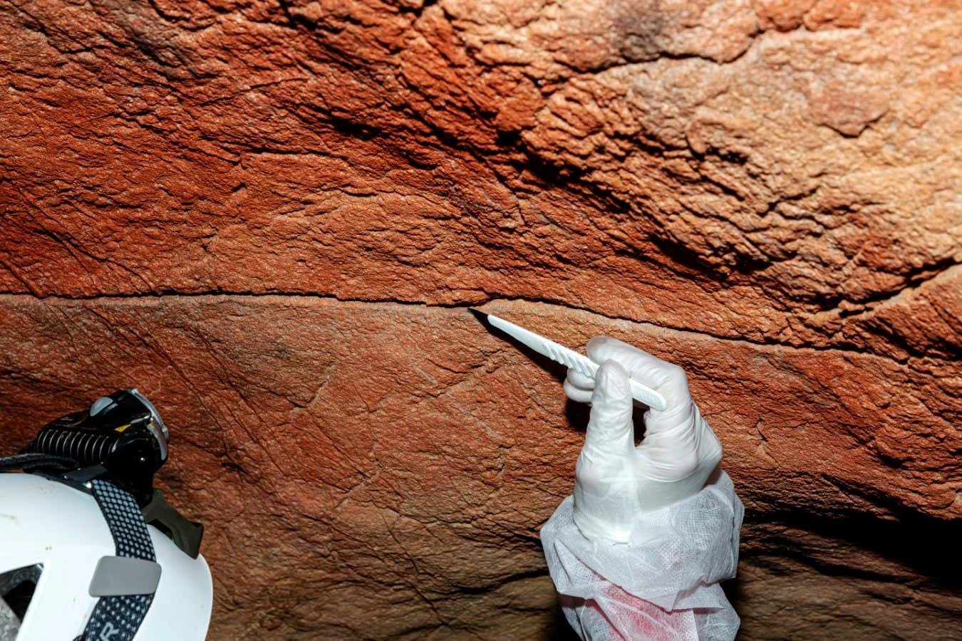 Ancient human DNA found on cave art for the first time