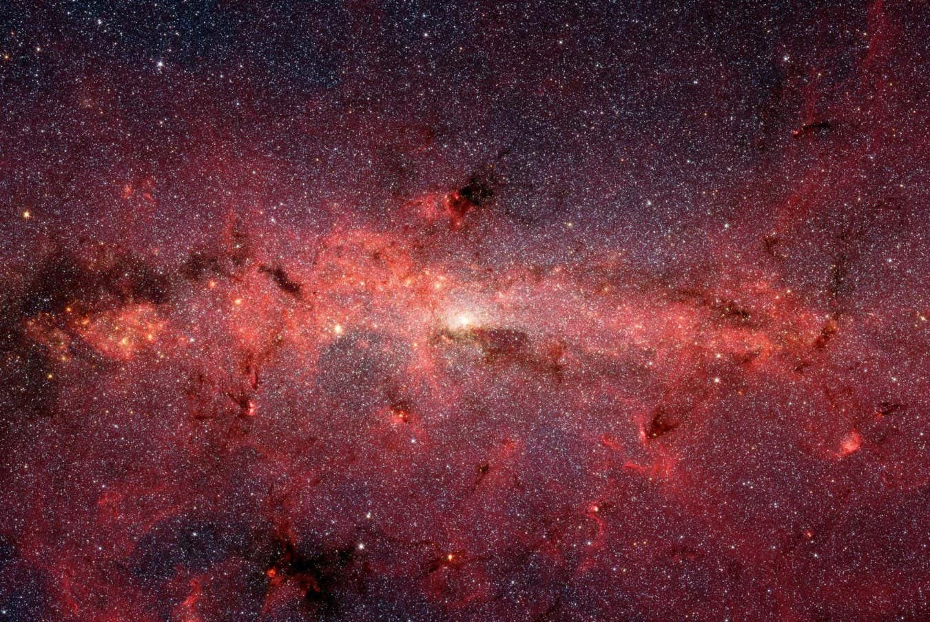 Immortal stars could live forever by 'eating' dark matter
