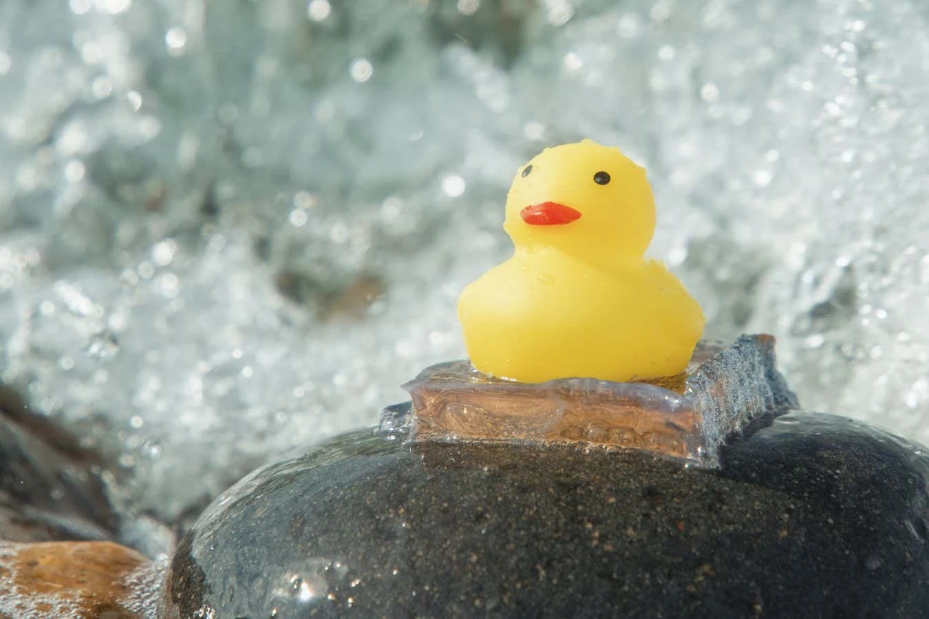 Super-sticky hydrogel is 10 times stronger than other glues underwater