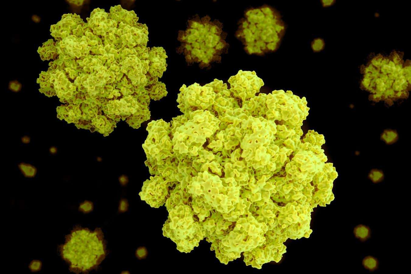 Norovirus vaccine pill shows promise against 'winter vomiting' bug