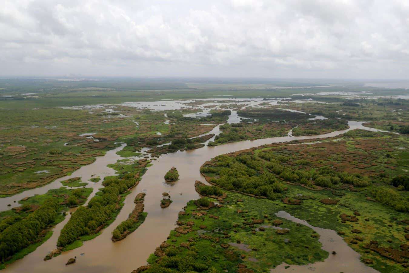 Engineers are diverting Mississippi river to restore Louisiana’s coast