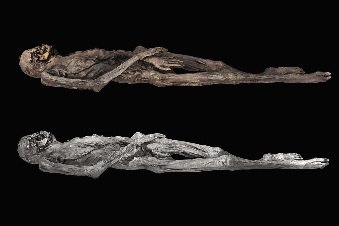 Ancient Siberian ice mummy is covered in 'really special' tattoos