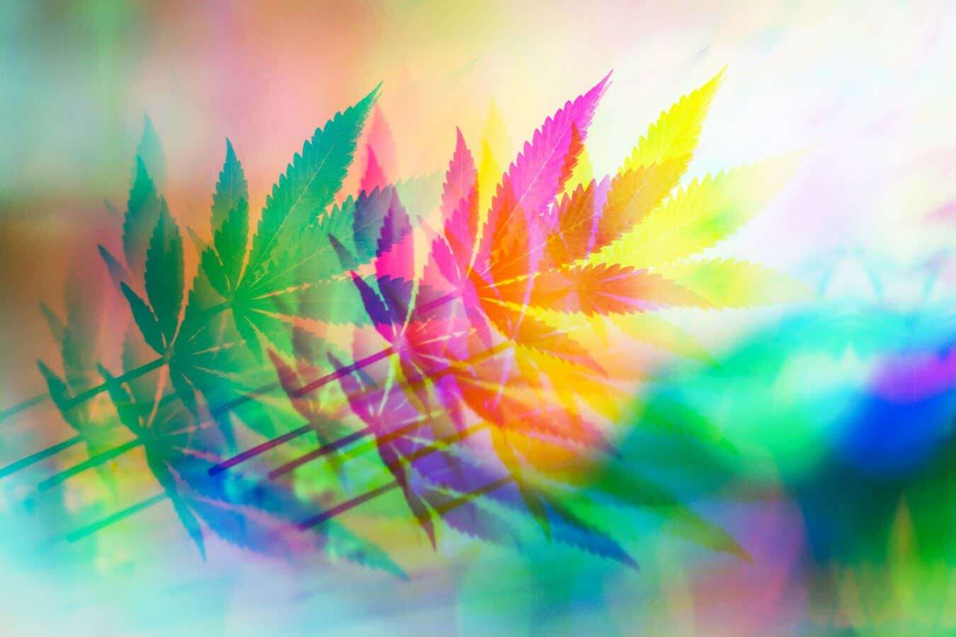 People feel more creative after using cannabis – they aren't