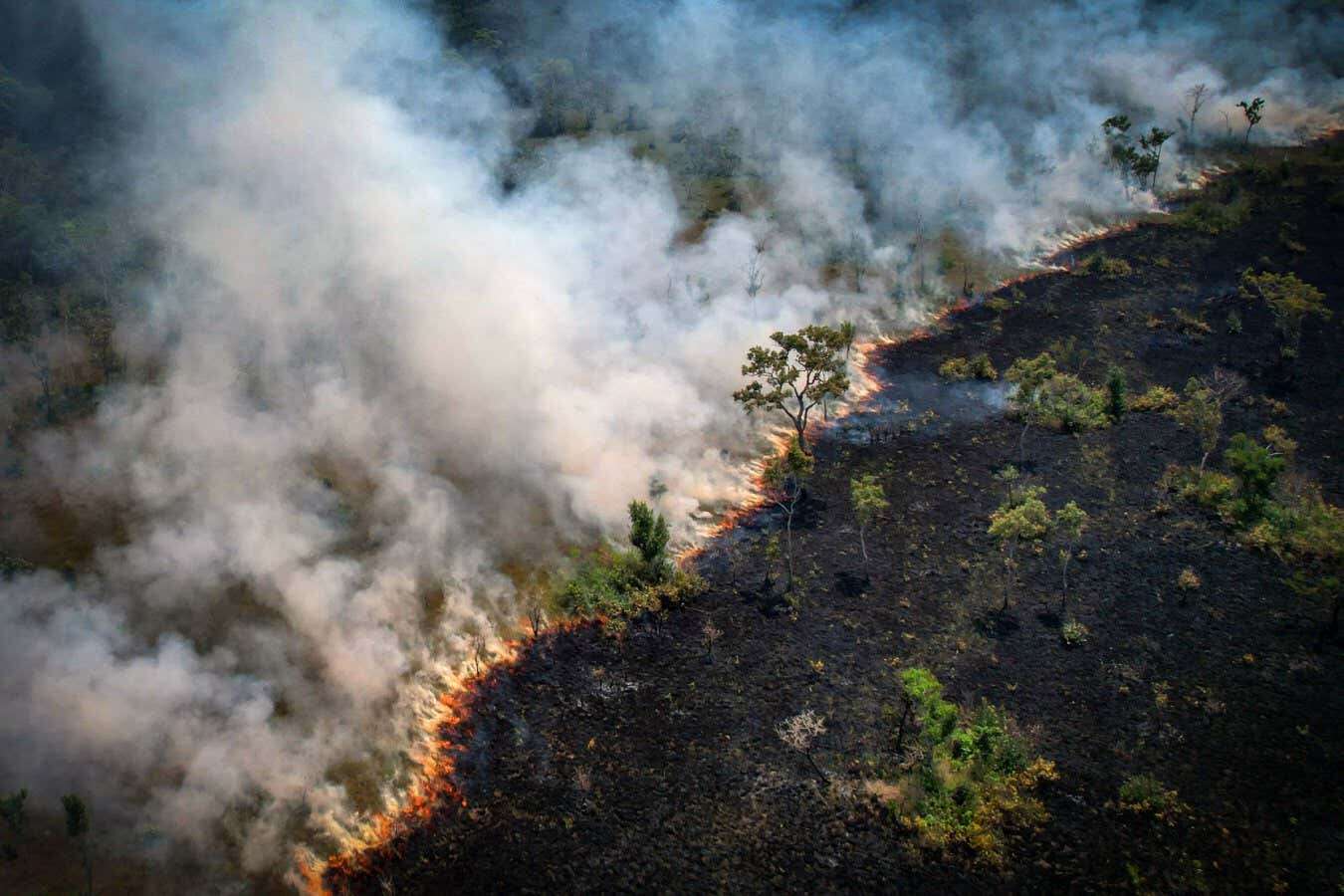 Extreme heat could trigger the worst global financial crisis ever seen