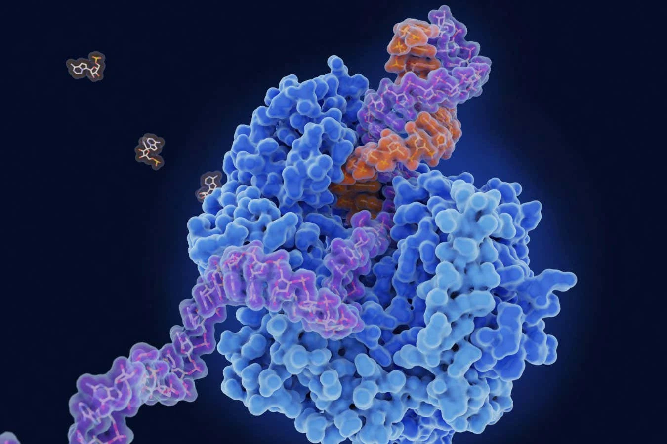 Multipurpose anti-viral pill may treat colds, norovirus, flu and covid