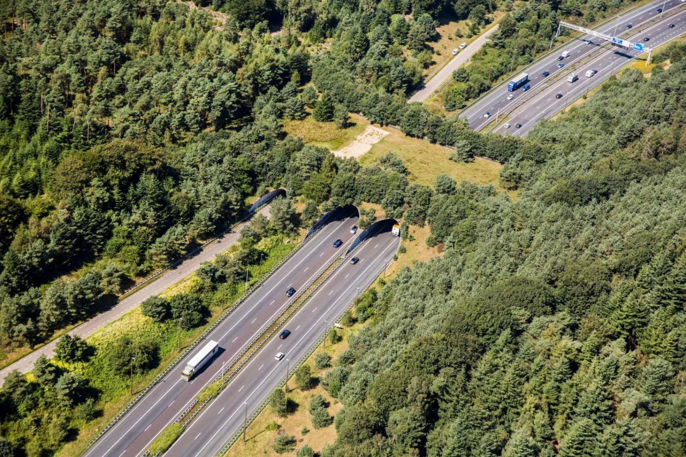 Crossings review: How to help wildlife live with motorways
