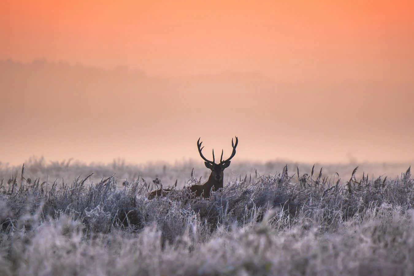 The science of why spending time in nature is just so good for us