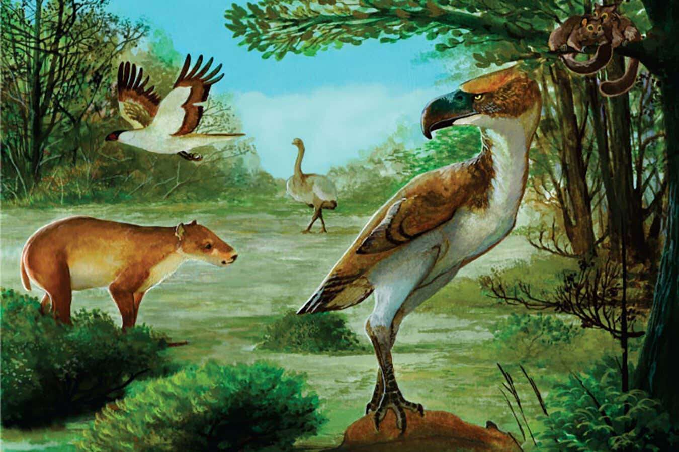 Flightless terror birds stalked Antarctica after the dinosaurs' demise