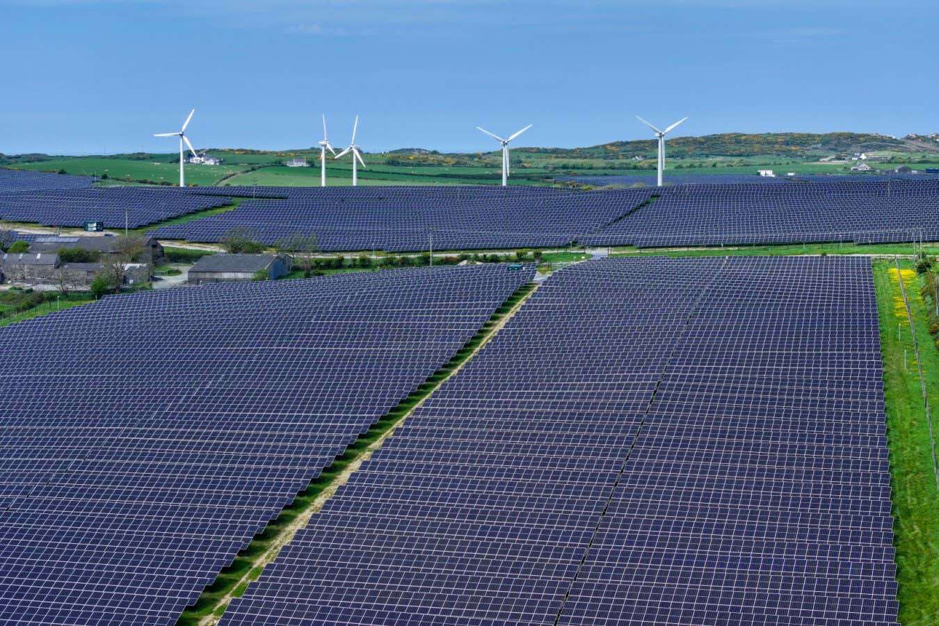 Solar boom has replaced farmland that could feed millions of people