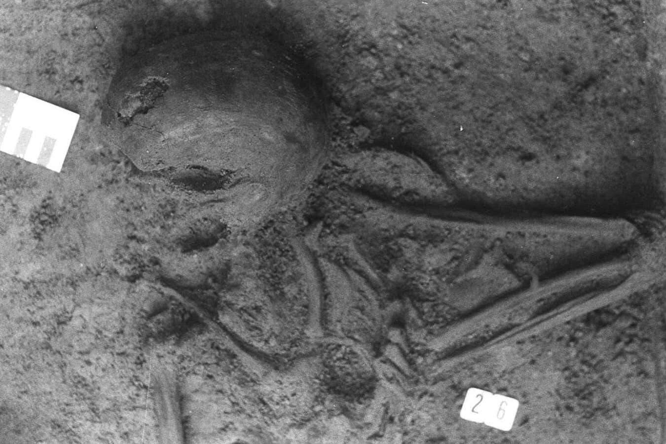 A bizarre skeleton from a Roman grave has bones from seven people