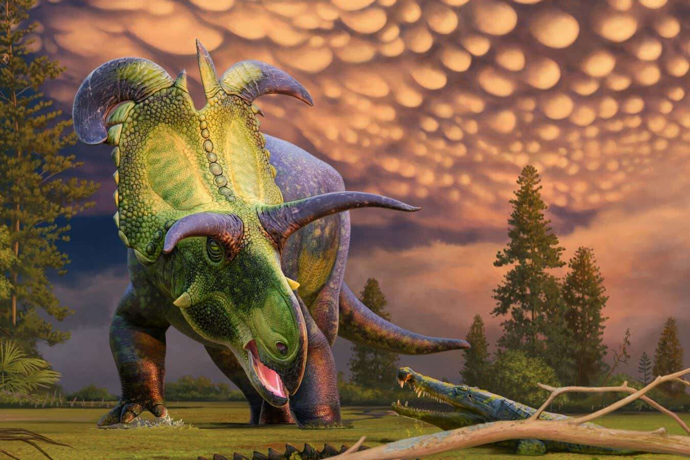 Triceratops relative had the weirdest horns ever seen on a dinosaur