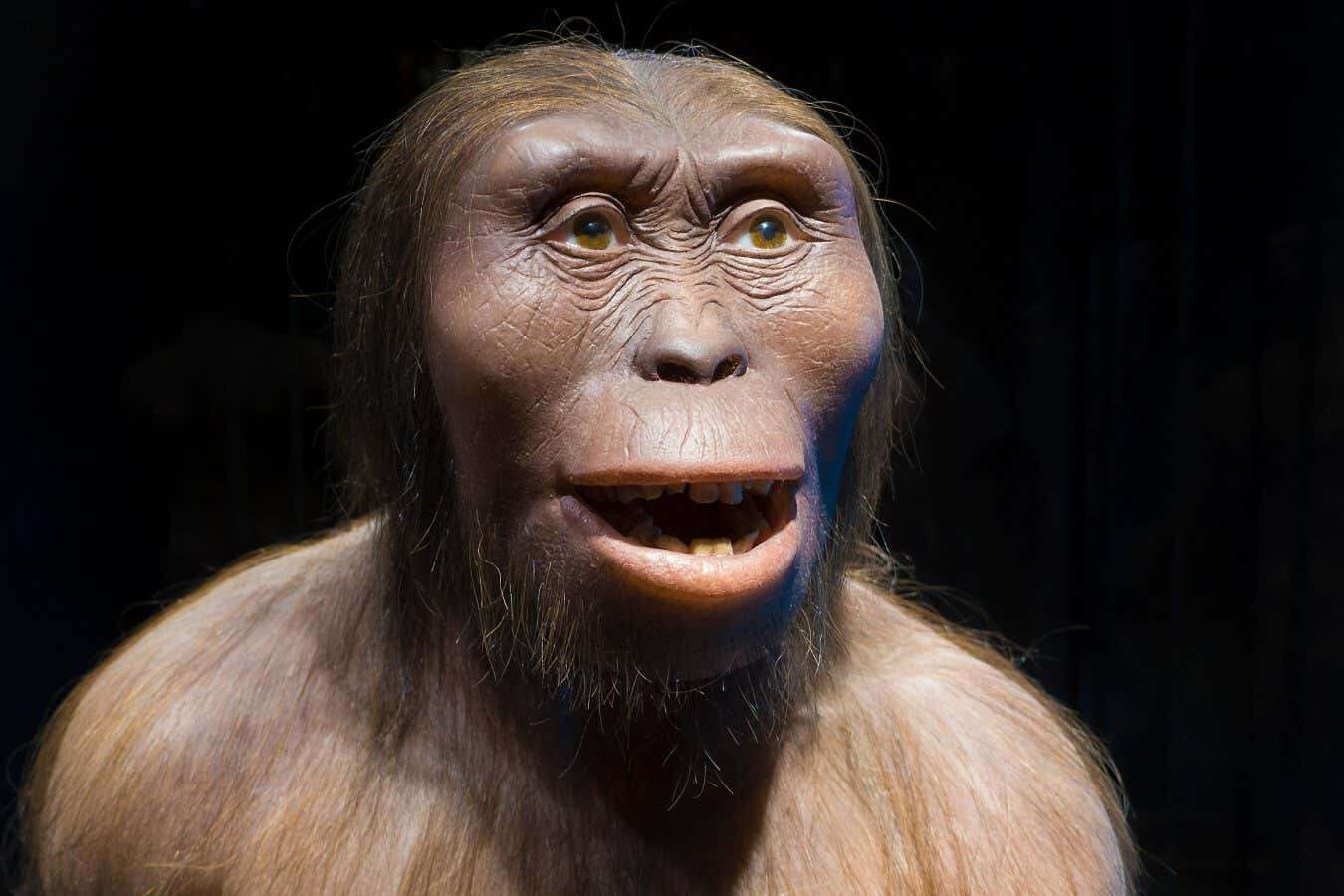 Why did hominins like us evolve at all?