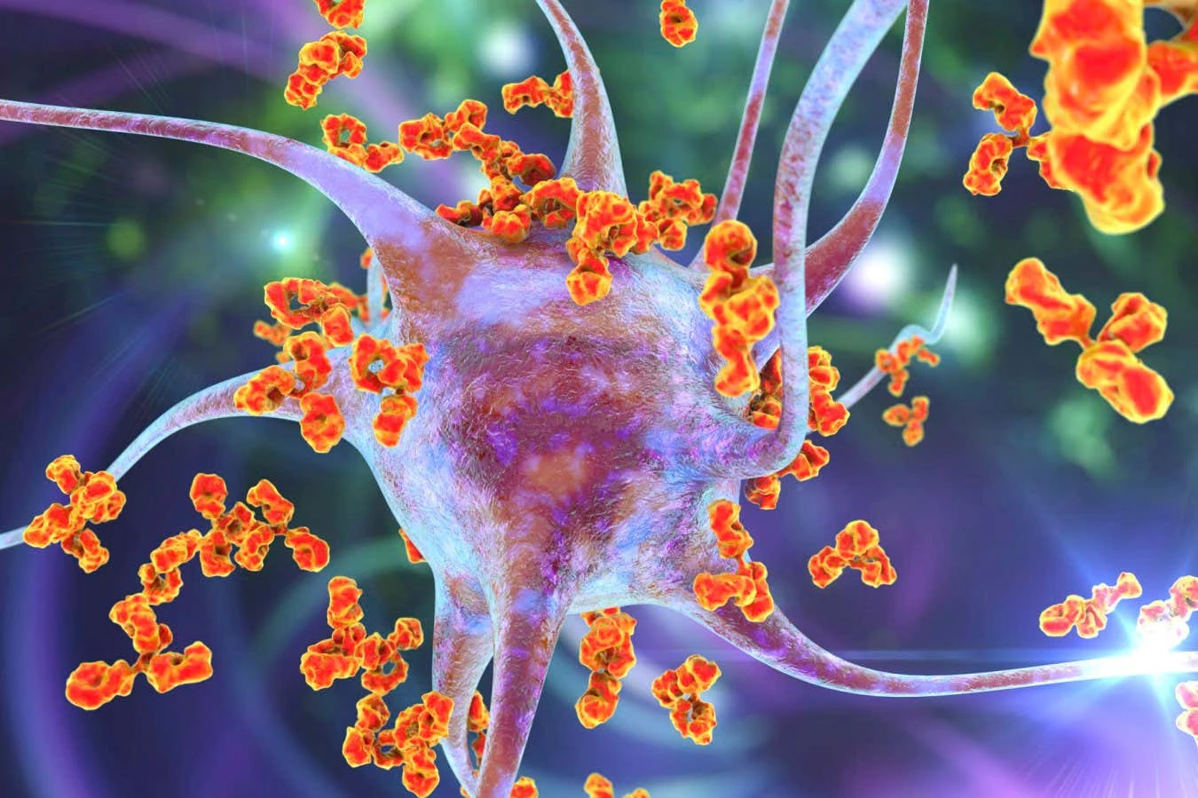 Multiple sclerosis genes may have arisen to ward off animal infections