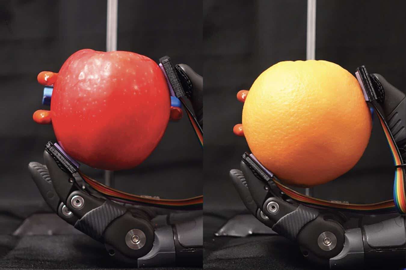 Delicate robot hands know just how hard to squeeze