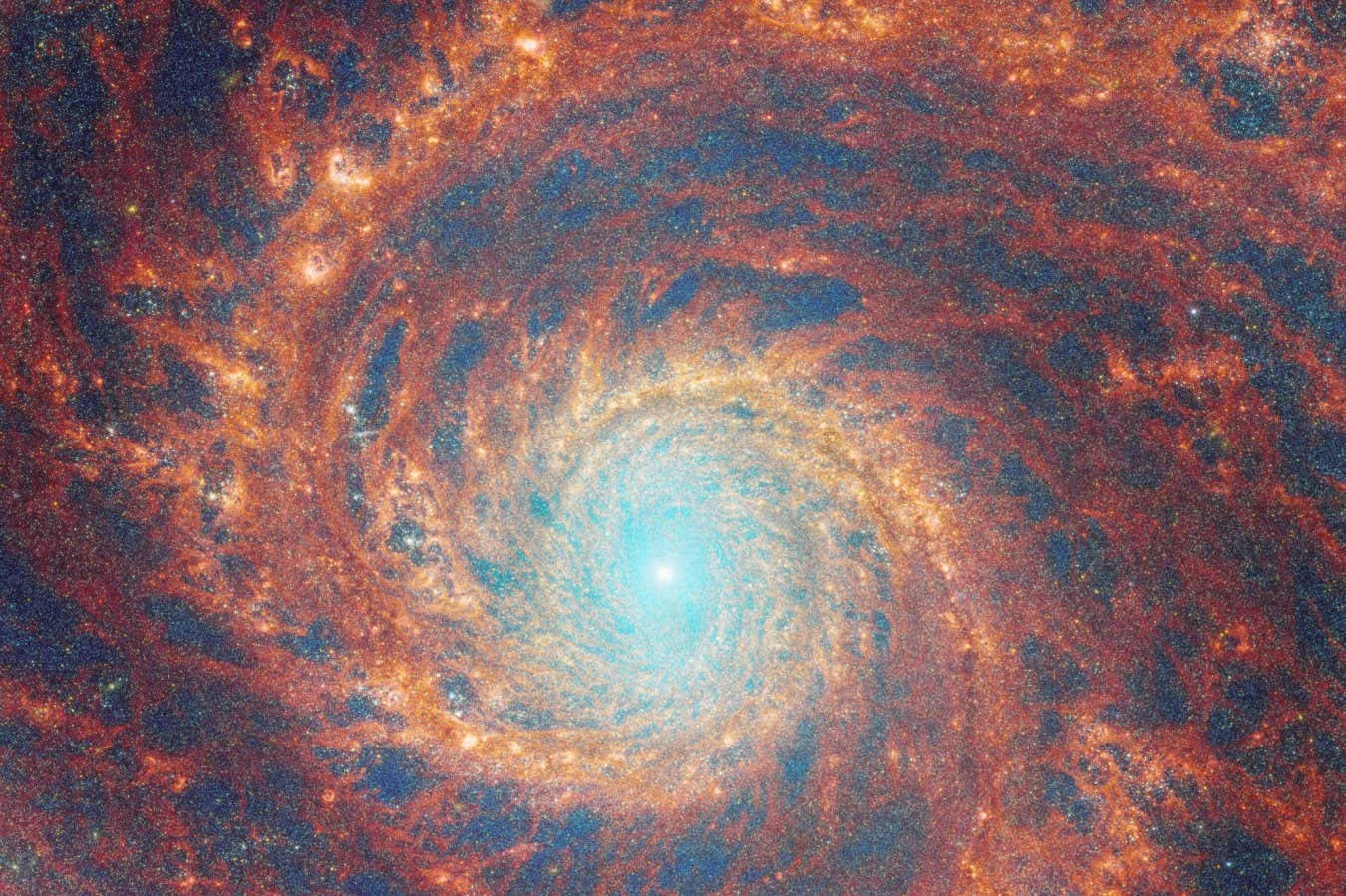 The biggest science news stories of 2023 as chosen by New Scientist