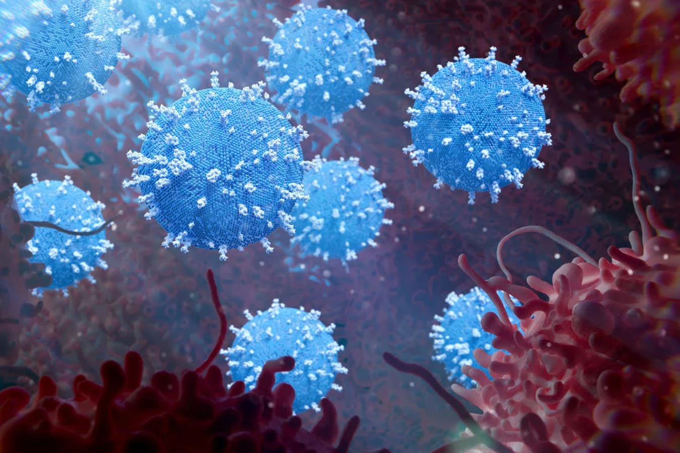 Cancer-killing virus becomes more effective when shielded by bacteria