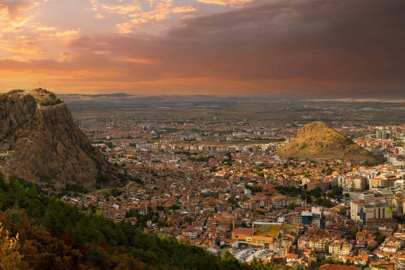 The hunt for the birthplace of Indo-European languages
