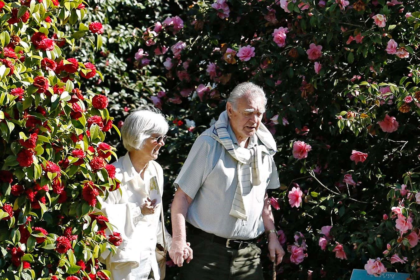 A new way to estimate our maximum lifespan could help us extend it
