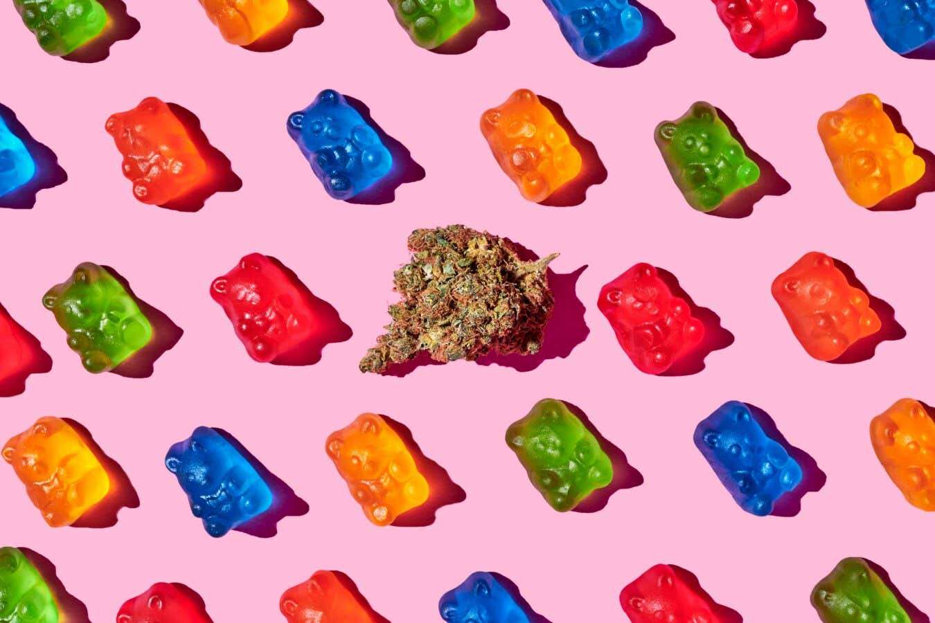 Vaping vs edibles: How does the way we use cannabis alter its effects?