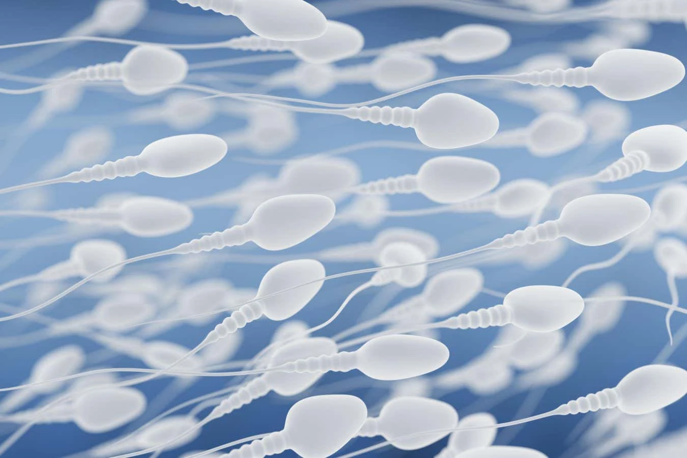 Blasting sluggish sperm with ultrasound waves gets them moving
