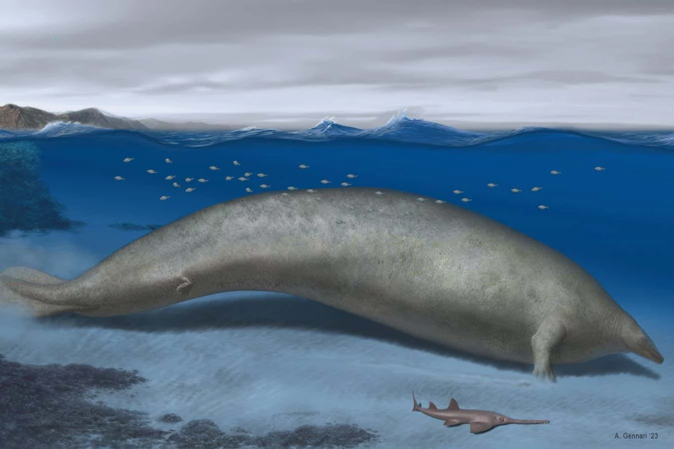 An ancient whale claimed the title of heaviest animal ever in 2023