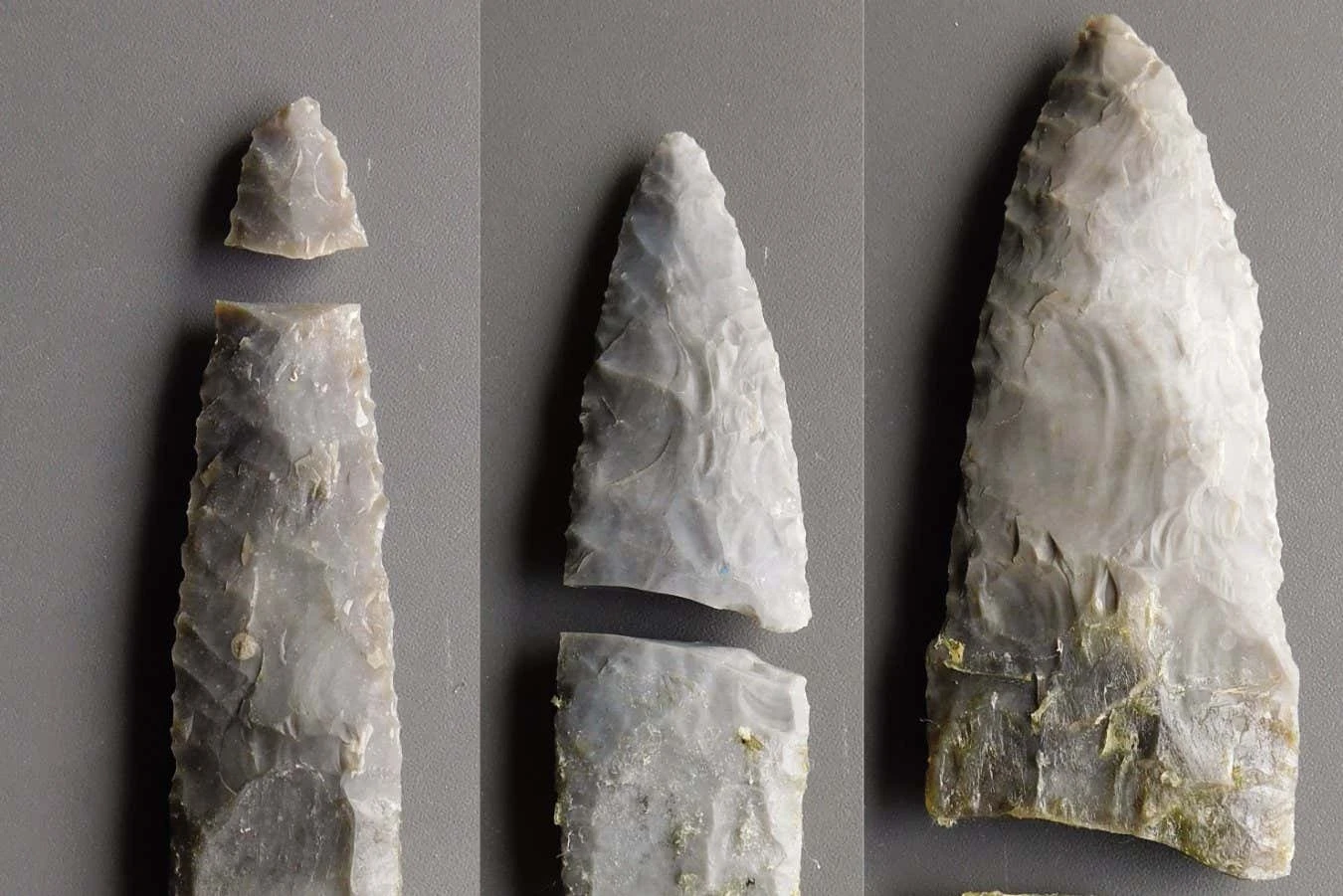 Stone Age blades could have been used for butchery, not just hunting