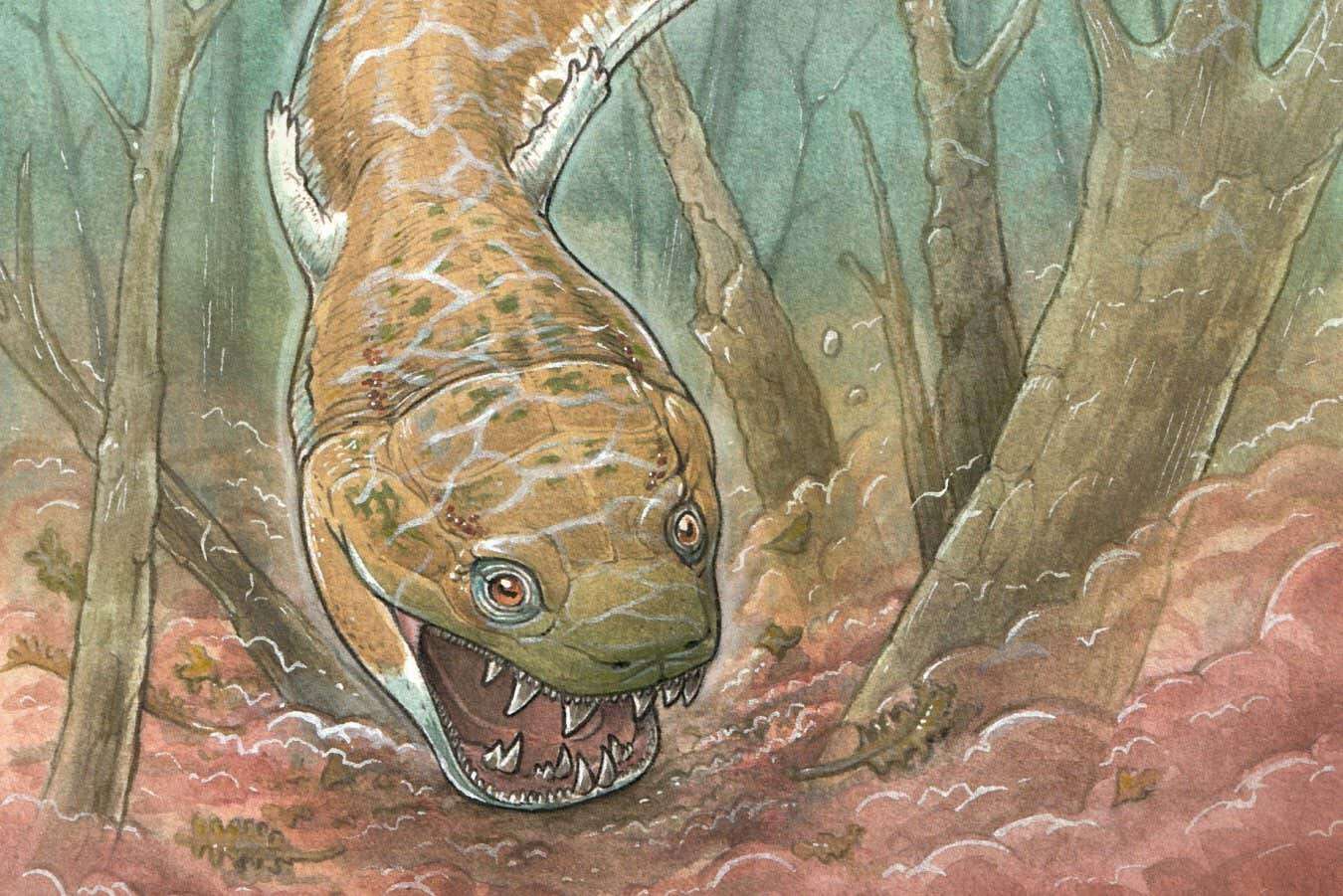 Giant salamander-like predator roamed Namibia 280 million years ago