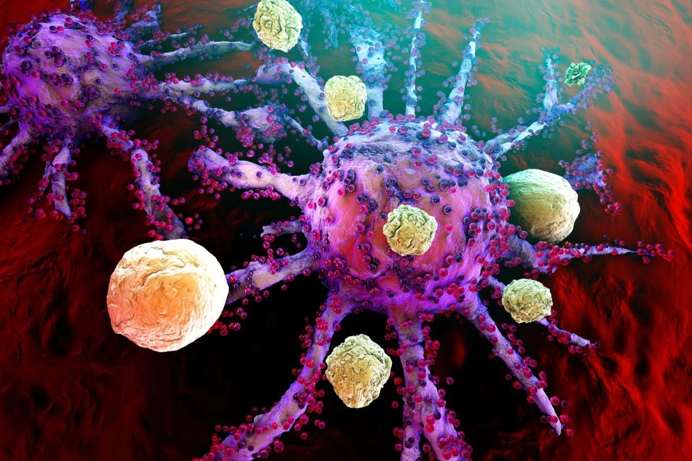 We may finally have a cure for many different autoimmune conditions