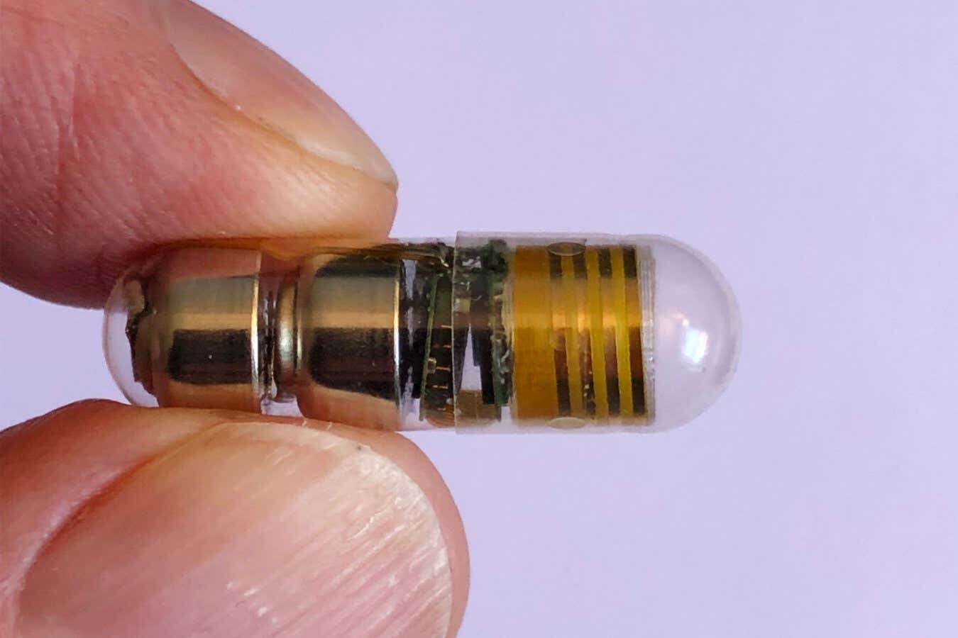 Electronic pill monitors your breathing and heart rate from your gut